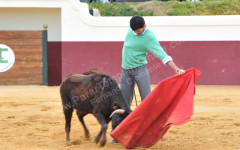 TENTADERO NO LUÍS COCHICHO EM DIA DE ANIVERSÁRIO
